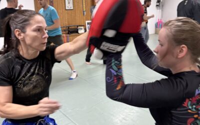 SEBEOBRANA – workshop leden 2026